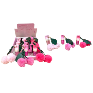 GLOSS CHERRY LABRANCHE CX 12 PÇS